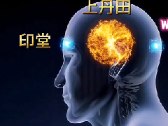 <font color='#FF0000'>气功小周天的运行演示视频（小周天运行图）</font>